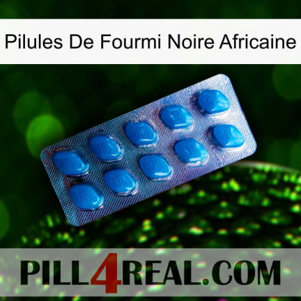 African Black Ant Pills viagra1